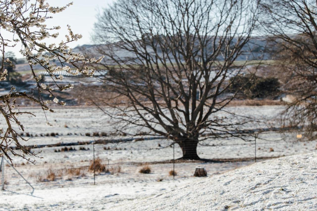 Meshlynn Farm Cottage Thendele Eksteriør bilde